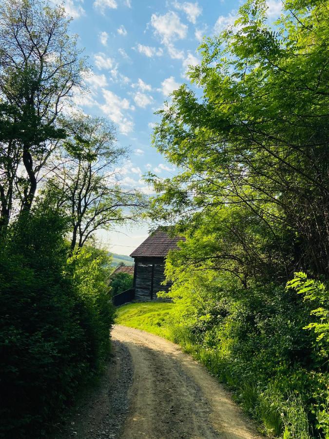 Slow Living Cottage, Dobolii De Sus Екстер'єр фото
